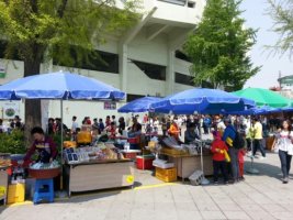 잠실야구장티켓4