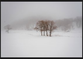 강원도오지마을3