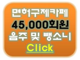뺑소니구제1