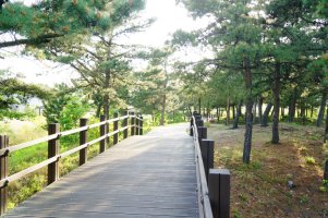 낙산해수욕장펜션2