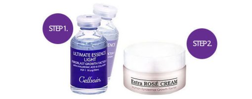 모자이크레이저5