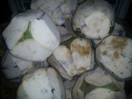 코코넛오일필리핀1