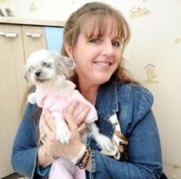 애견분양사이트2