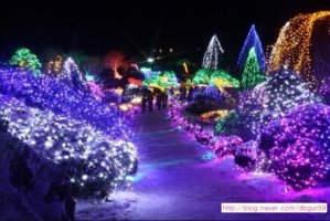 남이섬가족펜션5