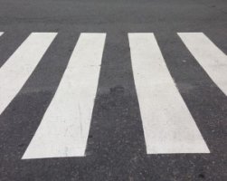 자동차보험나이1