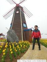 초보운전잘하는법2