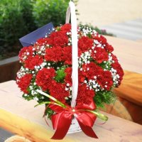 광주카네이션배달2