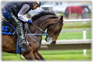 9급공무원시험과목변경4