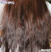 전문가용고데기5