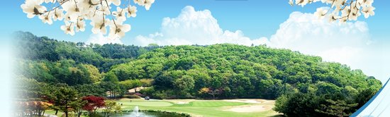 88cc회원권매도 (경기도,용인시 골프장 88(팔팔)컨트리클럽 개인,법인 골프회원권매도) [삼일회원권거래소]