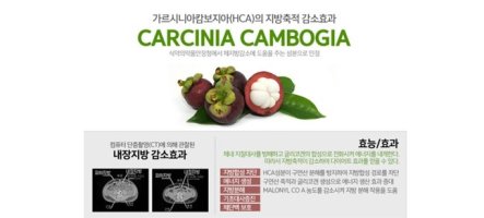 해독다이어트가격2