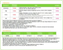 스카이패스카드2