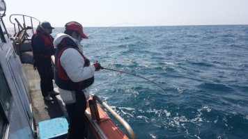 제주도선상낚시4