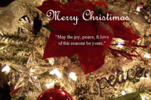 한국어교원자격증2급5