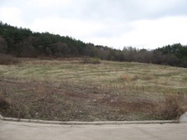 토지이용계획확인서1