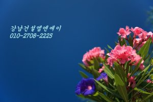 건설회사양도양수3