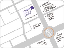 v라인성형비용1