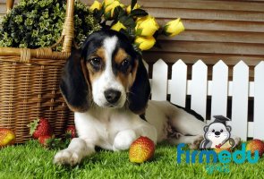 공무원영어강사추천4