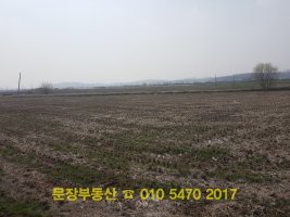 여주부동산3