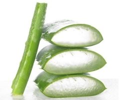 알로에베라겔의효능1
