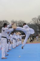 태권도4