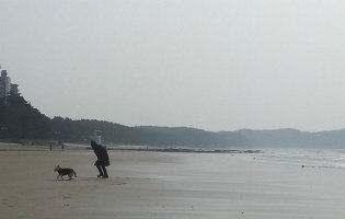 안면도해수욕장1