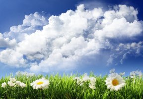 초등6학년수학4