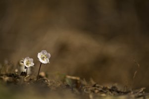 중학생영어학원1