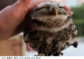 교육행정직과목3