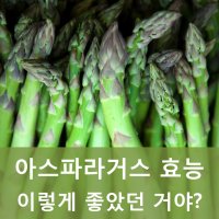 아스파라거스 효능 집에서도 맛있게 !