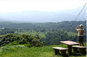 코스타리카커피1