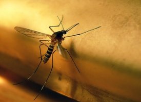 자동분사기추천2