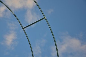 사회복지사2급취득방법4