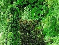 부천보육교사교육원3