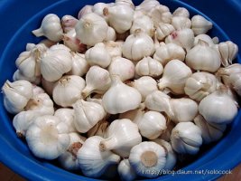 마늘장아찌4