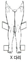 X다리운동4