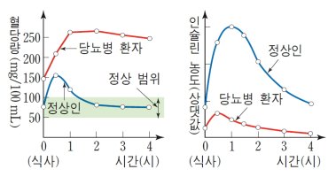 식사 후 혈당량과 혈액의 인슐린 농도의 변화