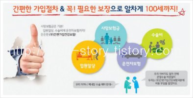 실버보험추천4